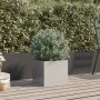 Jardinera de acero inoxidable plateado 32x30x29 cm de , Maceteros y jardineras - Ref: Foro24-841543, Precio: 34,96 €, Descuen...