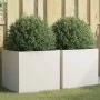 Jardineras 2 unidades acero laminado en frío blanco 49x47x46 cm de , Maceteros y jardineras - Ref: Foro24-841562, Precio: 86,...