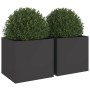 Jardineras 2 unidades acero laminado en frío negro 49x47x46 cm de , Maceteros y jardineras - Ref: Foro24-841560, Precio: 97,6...