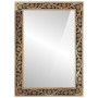 Espejo de baño madera maciza de acacia y vidrio 50x70x2,5 cm de , Espejos - Ref: Foro24-358243, Precio: 84,83 €, Descuento: %