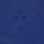 Blaue Plane 1,5x2 m 650 g/m² von , Wasserdichte Planen - Ref: Foro24-156173, Preis: 24,22 €, Rabatt: %
