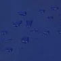 Lona azul 1x2,5 m 650 g/m² de , Lonas impermeables - Ref: Foro24-156060, Precio: 32,33 €, Descuento: %