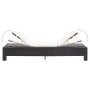 Tumbona con cojín de ratán sintético negro de vidaXL, Tumbonas - Ref: Foro24-46234, Precio: 150,57 €, Descuento: %