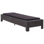 Tumbona con cojín de ratán sintético negro de vidaXL, Tumbonas - Ref: Foro24-46237, Precio: 158,40 €, Descuento: %