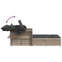 Tumbona doble con capota y cojines ratán sintético gris claro de , Tumbonas - Ref: Foro24-365812, Precio: 336,05 €, Descuento: %