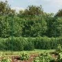 Cerca de alambre de acero galvanizado verde 1,4x25 m de , Paneles de vallas - Ref: Foro24-154059, Precio: 210,56 €, Descuento: %