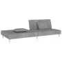 Sofá cama de 2 plazas con dos almohadas tela gris claro de , Sofás - Ref: Foro24-375887, Precio: 248,79 €, Descuento: %