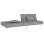 Sofá cama de 2 plazas con dos almohadas tela gris claro de , Sofás - Ref: Foro24-375887, Precio: 254,44 €, Descuento: %