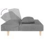 Sofá cama de 2 plazas con dos almohadas tela gris claro de , Sofás - Ref: Foro24-375887, Precio: 248,79 €, Descuento: %