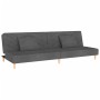 Sofá cama de 2 plazas con dos almohadas tela gris oscuro de , Sofás - Ref: Foro24-375888, Precio: 254,91 €, Descuento: %