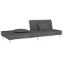 Sofá cama de 2 plazas con dos almohadas tela gris oscuro de , Sofás - Ref: Foro24-375888, Precio: 253,40 €, Descuento: %