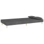 Sofá cama de 2 plazas con dos almohadas tela gris oscuro de , Sofás - Ref: Foro24-375888, Precio: 253,40 €, Descuento: %