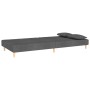 Sofá cama de 2 plazas con dos almohadas tela gris oscuro de , Sofás - Ref: Foro24-375888, Precio: 254,91 €, Descuento: %