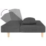 Sofá cama de 2 plazas con dos almohadas tela gris oscuro de , Sofás - Ref: Foro24-375888, Precio: 253,40 €, Descuento: %