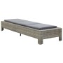 Tumbona con cojín de ratán sintético gris de vidaXL, Tumbonas - Ref: Foro24-46236, Precio: 163,69 €, Descuento: %