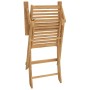 Sillas de jardín plegables 2 uds madera acacia 54,5x61,5x86,5cm de , Sillas de jardín - Ref: Foro24-365737, Precio: 120,30 €,...