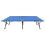Tumbona doble plegable acero azul de vidaXL, Tumbonas - Ref: Foro24-47759, Precio: 108,90 €, Descuento: %
