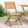 Sillas de jardín plegables 2 uds madera acacia 48,5x61,5x87 cm de , Sillas de jardín - Ref: Foro24-365739, Precio: 110,50 €, ...