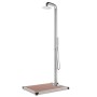 Ducha de jardín con base marrón 230 cm acero inoxidable de , Accesorios para piscinas y spa - Ref: Foro24-3070779, Precio: 41...
