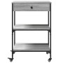 Carrito de cocina madera ingeniería gris Sonoma 60x48x89,5 cm de , Carros de cocina y comedor - Ref: Foro24-842374, Precio: 7...