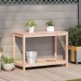 Mesa de plantación y estante madera maciza Douglas 108x50x75 cm de , Soportes para macetas - Ref: Foro24-832405, Precio: 91,0...