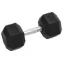 Mancuernas 2 unidades hierro fundido 30 kg de , Peso libre - Ref: Foro24-93606, Precio: 129,34 €, Descuento: %