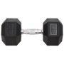 Mancuernas 2 unidades hierro fundido 30 kg de , Peso libre - Ref: Foro24-93606, Precio: 131,81 €, Descuento: %