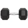 Mancuernas 2 unidades hierro fundido 30 kg de , Peso libre - Ref: Foro24-93606, Precio: 129,34 €, Descuento: %