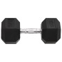 Mancuernas 2 unidades hierro fundido 30 kg de , Peso libre - Ref: Foro24-93606, Precio: 131,81 €, Descuento: %