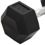 Mancuernas 2 unidades hierro fundido 30 kg de , Peso libre - Ref: Foro24-93606, Precio: 131,81 €, Descuento: %