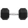 Mancuerna hierro fundido 25 kg de , Peso libre - Ref: Foro24-93610, Precio: 106,50 €, Descuento: %