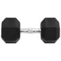 Mancuerna hierro fundido 25 kg de , Peso libre - Ref: Foro24-93610, Precio: 90,21 €, Descuento: %