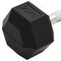 Mancuerna hierro fundido 25 kg de , Peso libre - Ref: Foro24-93610, Precio: 106,50 €, Descuento: %