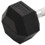 Mancuerna hierro fundido 25 kg de , Peso libre - Ref: Foro24-93610, Precio: 90,21 €, Descuento: %