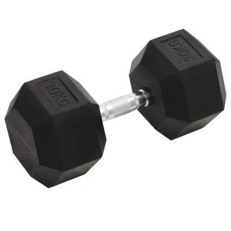 Mancuerna hierro fundido 30 kg de , Peso libre - Ref: Foro24-93612, Precio: 105,26 €, Descuento: %