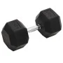 Mancuerna hierro fundido 30 kg de , Peso libre - Ref: Foro24-93612, Precio: 105,26 €, Descuento: %
