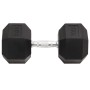 Mancuerna hierro fundido 30 kg de , Peso libre - Ref: Foro24-93612, Precio: 123,78 €, Descuento: %