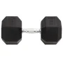 Mancuerna hierro fundido 30 kg de , Peso libre - Ref: Foro24-93612, Precio: 105,26 €, Descuento: %