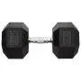 Mancuerna hierro fundido 30 kg de , Peso libre - Ref: Foro24-93612, Precio: 105,26 €, Descuento: %