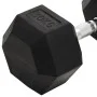 Mancuerna hierro fundido 30 kg de , Peso libre - Ref: Foro24-93612, Precio: 105,26 €, Descuento: %