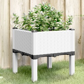 Jardinera con patas PP blanco 40x40x42 cm de , Maceteros y jardineras - Ref: Foro24-367889, Precio: 36,80 €, Descuento: %