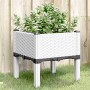 Jardinera con patas PP blanco 40x40x42 cm de , Maceteros y jardineras - Ref: Foro24-367889, Precio: 36,80 €, Descuento: %
