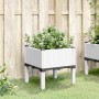 Jardinera con patas PP blanco 40x40x42 cm de , Maceteros y jardineras - Ref: Foro24-367889, Precio: 36,80 €, Descuento: %