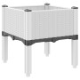 Jardinera con patas PP blanco 40x40x42 cm de , Maceteros y jardineras - Ref: Foro24-367889, Precio: 36,80 €, Descuento: %