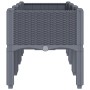Jardinera con patas PP gris 120x40x42 cm de , Maceteros y jardineras - Ref: Foro24-367896, Precio: 83,50 €, Descuento: %