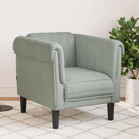 Sillón de terciopelo gris claro de , Sofás - Ref: Foro24-372565, Precio: 132,87 €, Descuento: %