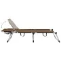 Tumbona senior extra alta plegable aluminio marrón de vidaXL, Tumbonas - Ref: Foro24-47916, Precio: 175,03 €, Descuento: %