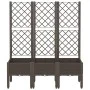 Jardinera con enrejado PP marrón 120x40x142 cm de , Maceteros y jardineras - Ref: Foro24-367930, Precio: 116,26 €, Descuento: %