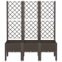Jardinera con enrejado PP marrón 120x40x142 cm de , Maceteros y jardineras - Ref: Foro24-367930, Precio: 118,52 €, Descuento: %