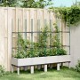 Jardinera con enrejado PP blanco 160x40x142,5 cm de , Maceteros y jardineras - Ref: Foro24-367964, Precio: 74,85 €, Descuento: %